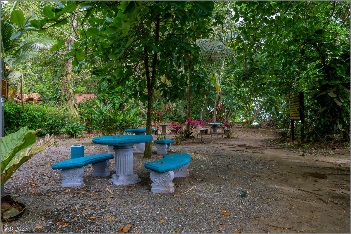 DZ7_4826.jpg