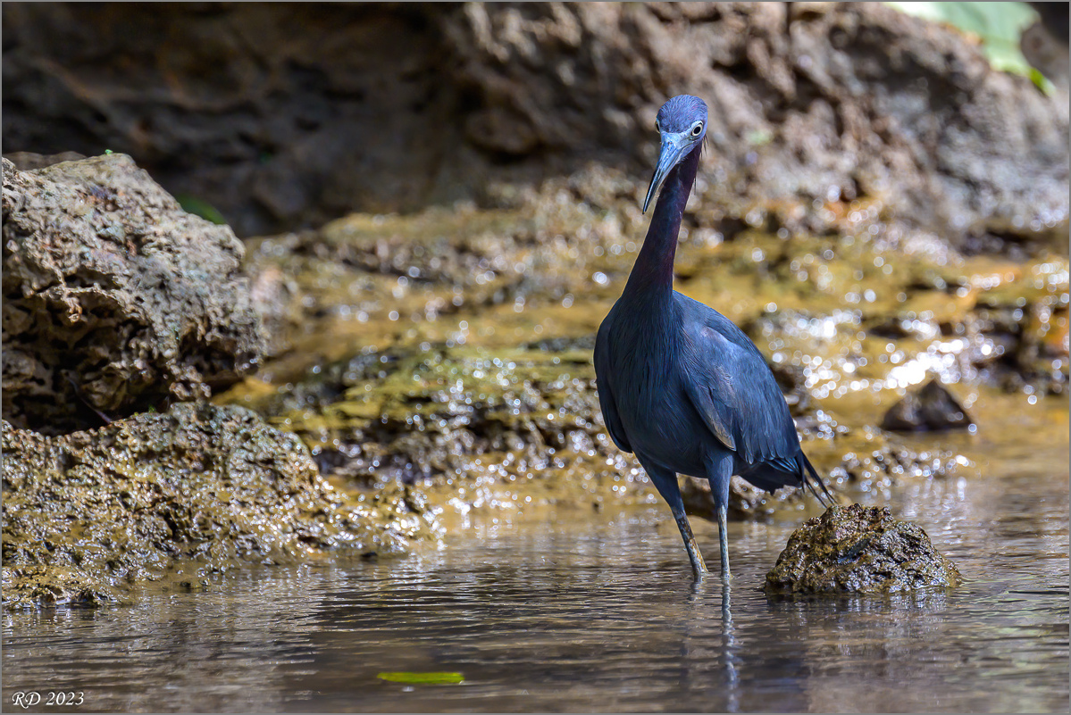 DZ7_5196-Bearbeitet.jpg