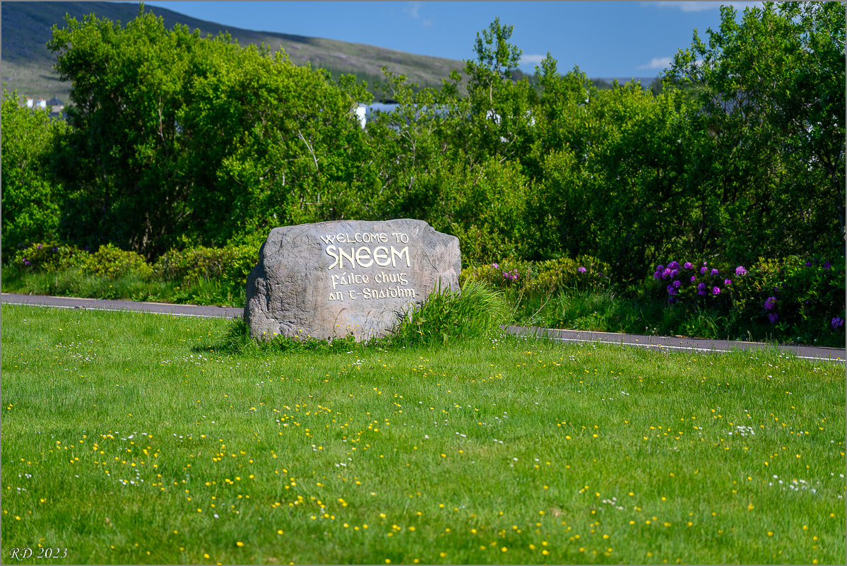 DZ7_5650.jpg