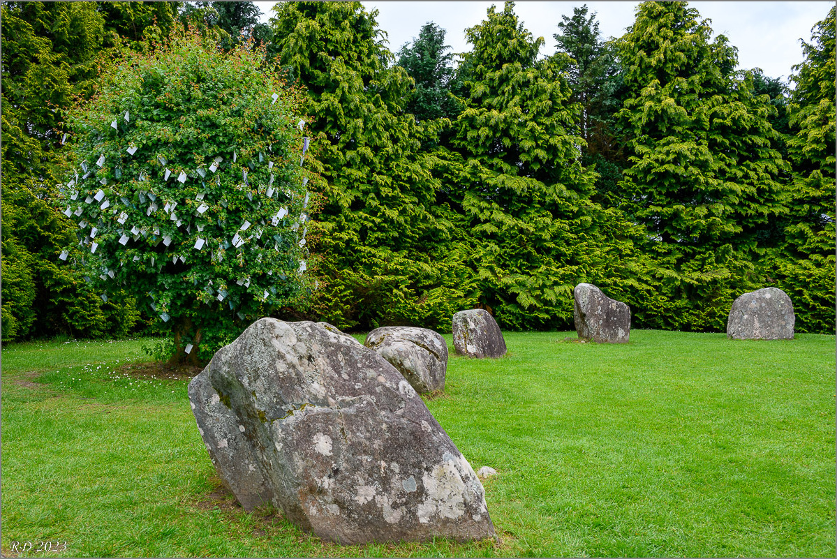 DZ7_5903.jpg