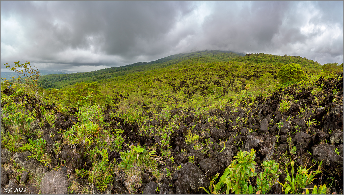 DZ7_6233-Pano.jpg