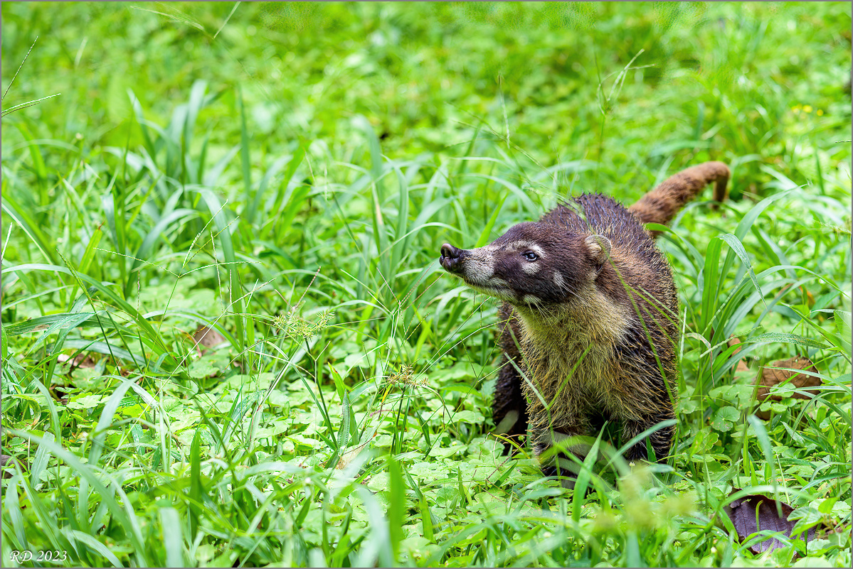 DZ7_6297-Bearbeitet.jpg