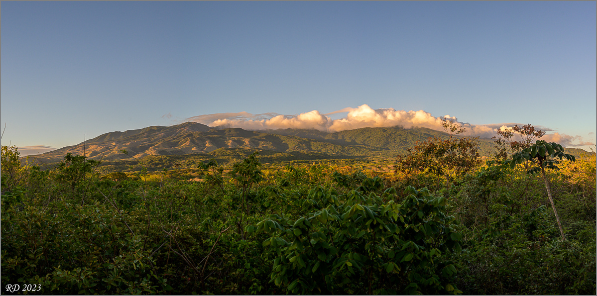DZ7_6645-Pano.jpg