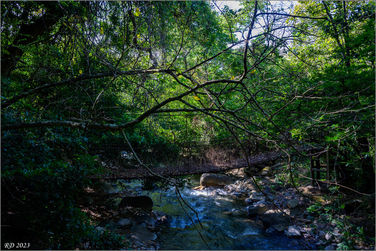 DZ7_6731.jpg