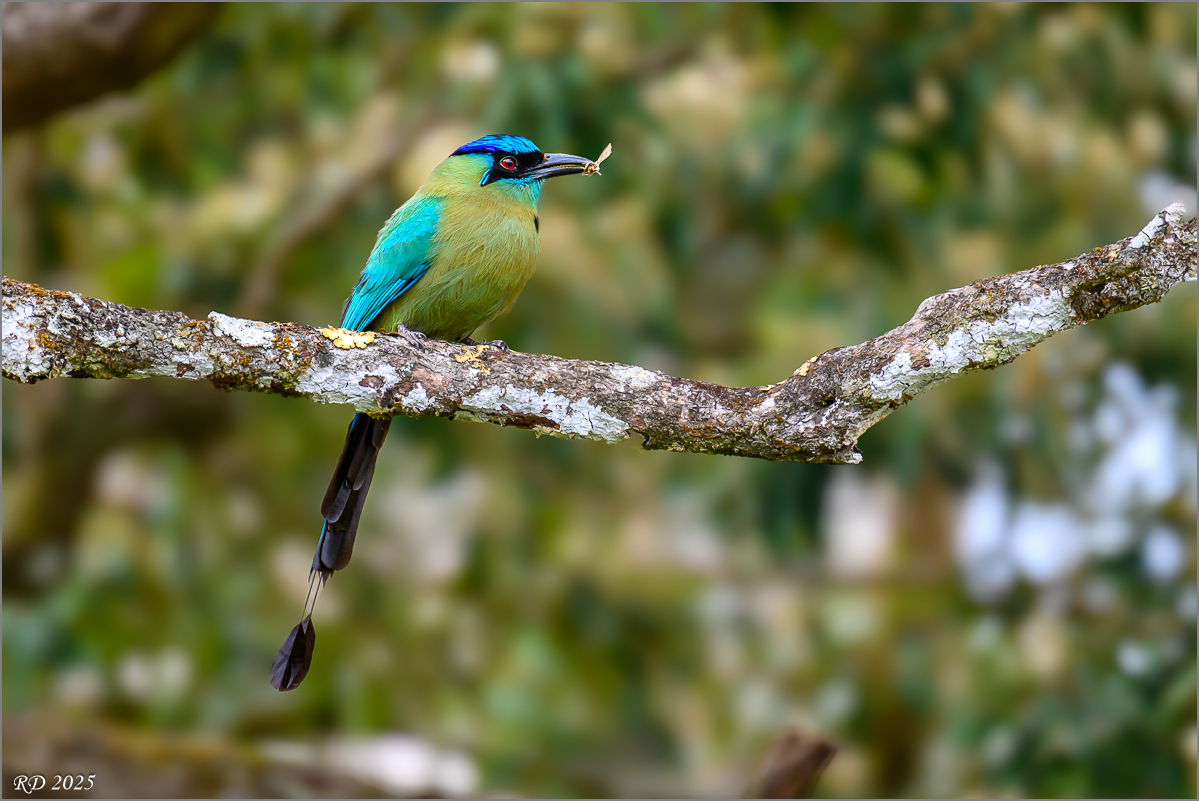 DZ7_7240.jpg