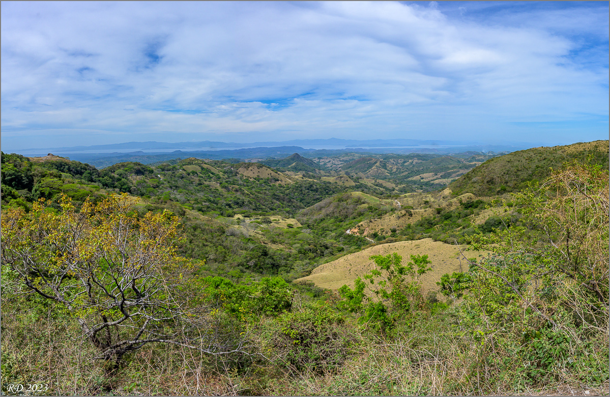DZ7_8290-Pano.jpg