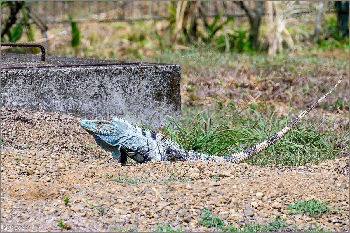 DZ7_8377-Bearbeitet.jpg