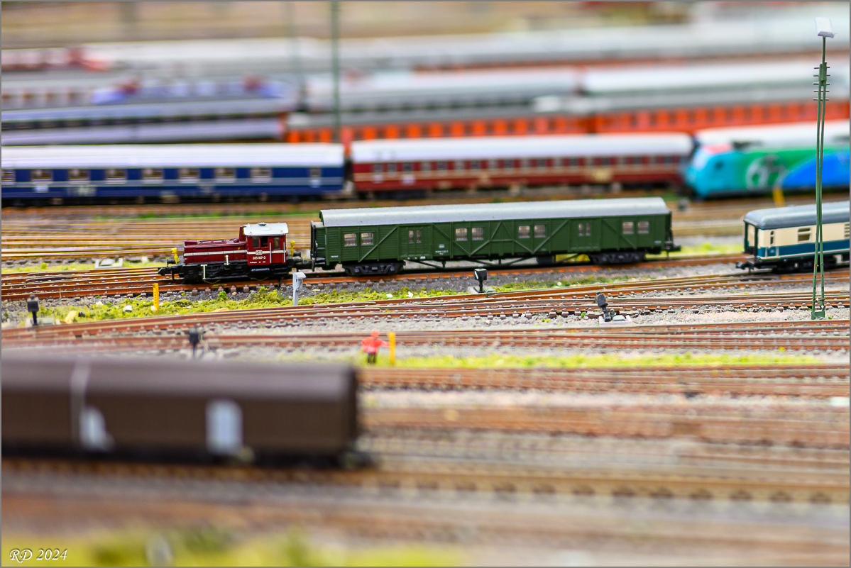 DZ8_0269.jpg