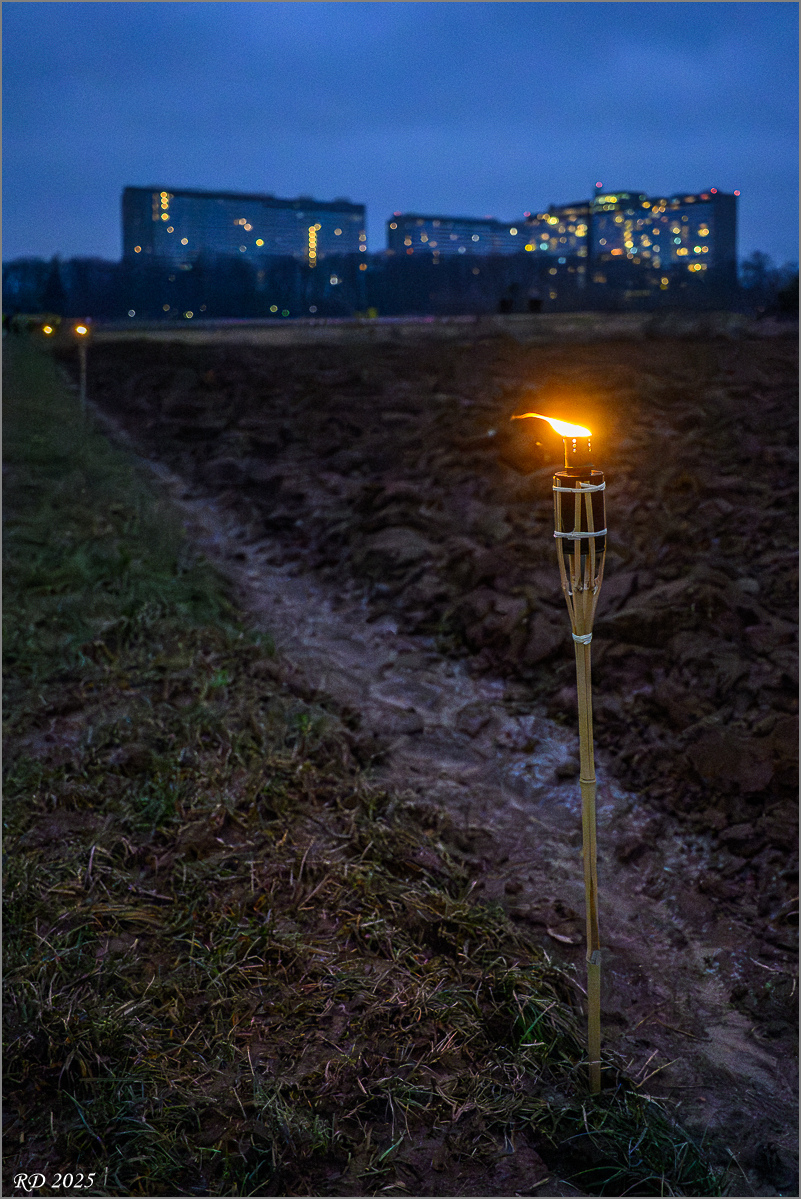 DZ8_2126-Verbessert-RR.jpg