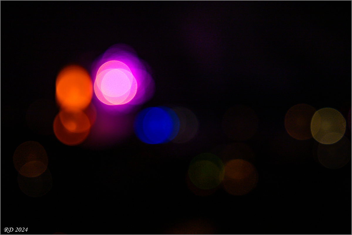 DZ8_6558.jpg
