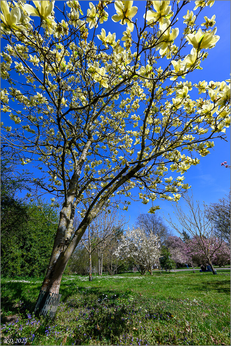 DZ8_7307.jpg