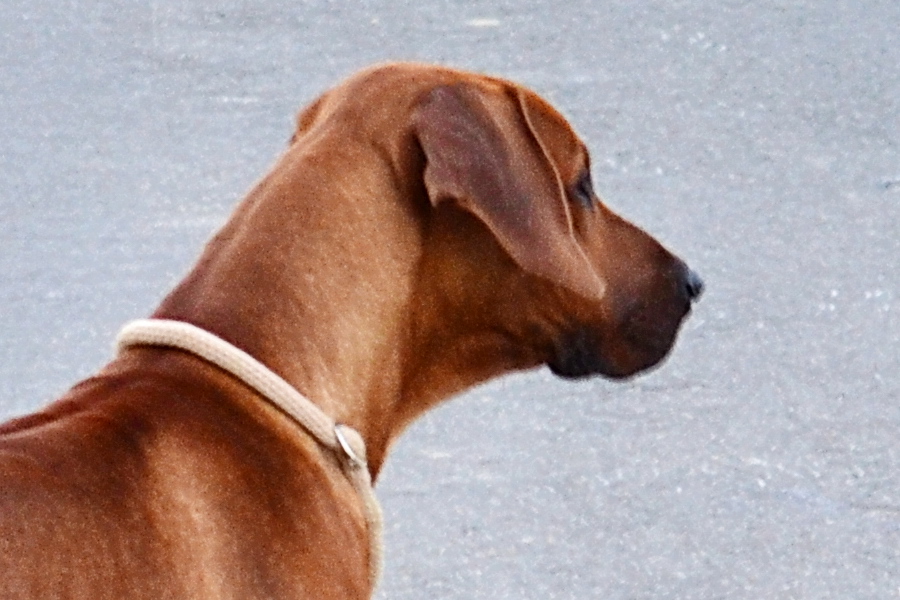 e630 1a 6c83crop