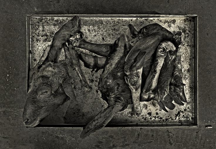 earthArt 4bw 72