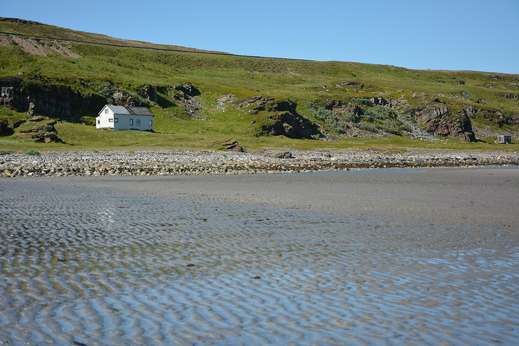 Ebbe