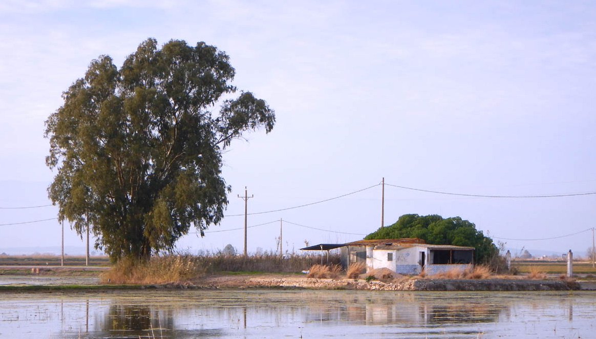ebro.kl.2