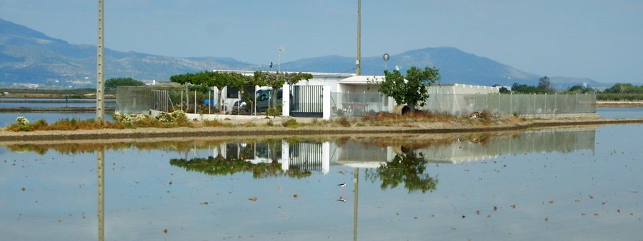 ebro2ff.jpg
