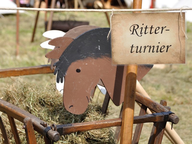 Edle Rösser bei der Fütterung