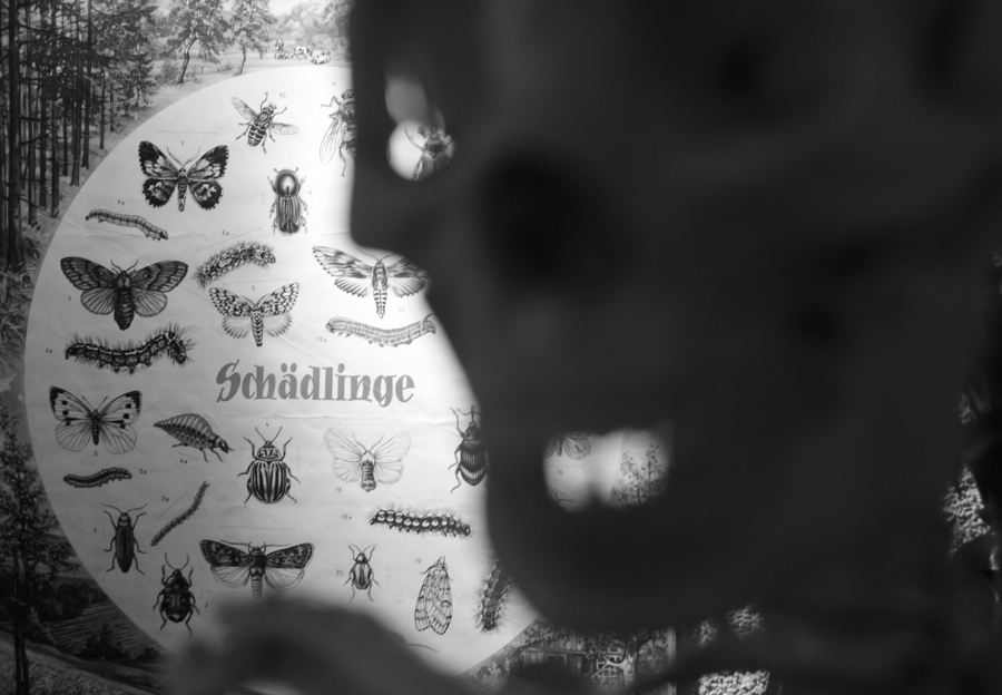 Ehem. Schulraum einer Dorfschule
DSC 1035 web bw crop