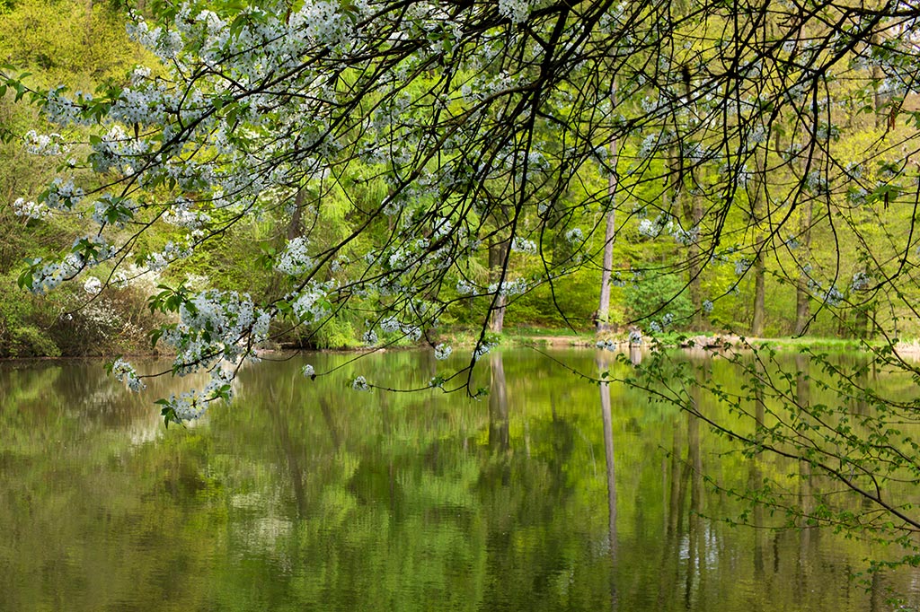 eifel impression 2