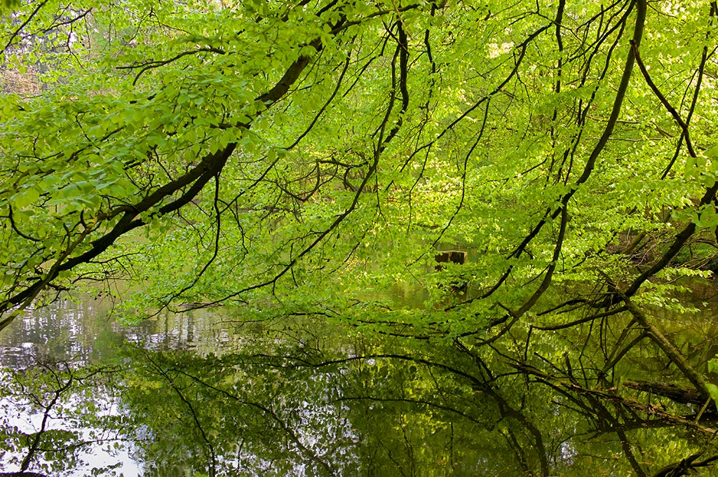 eifel impression