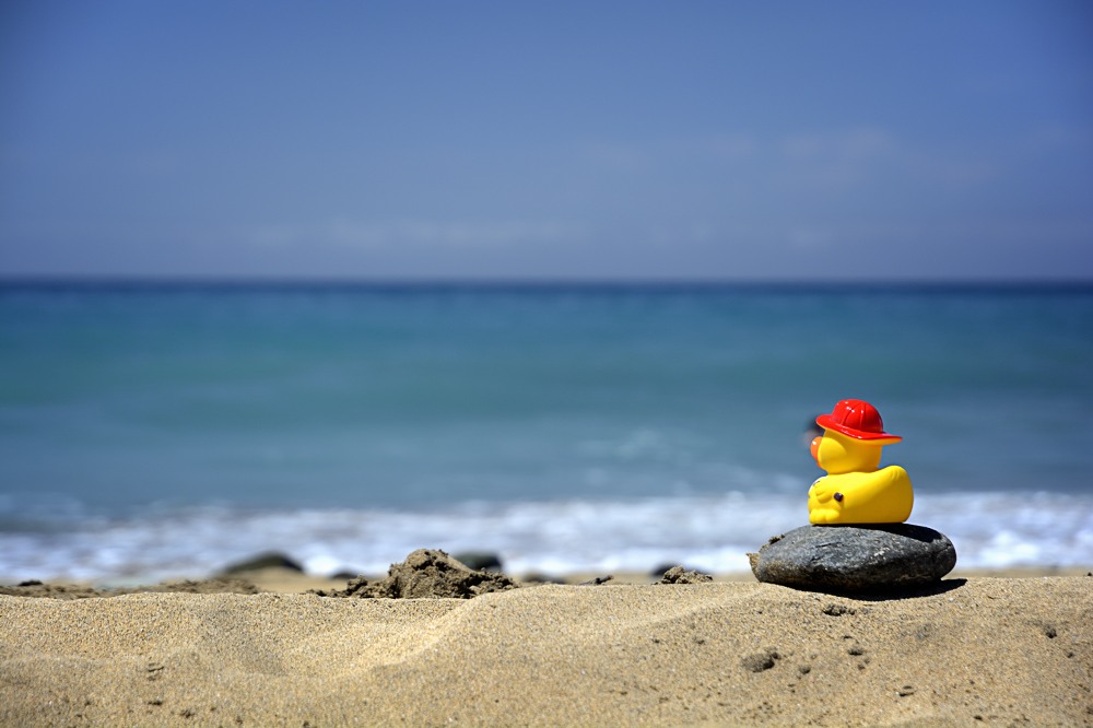 Ein Besuch am Strand durfte natürlich auch nicht gefällt haben
