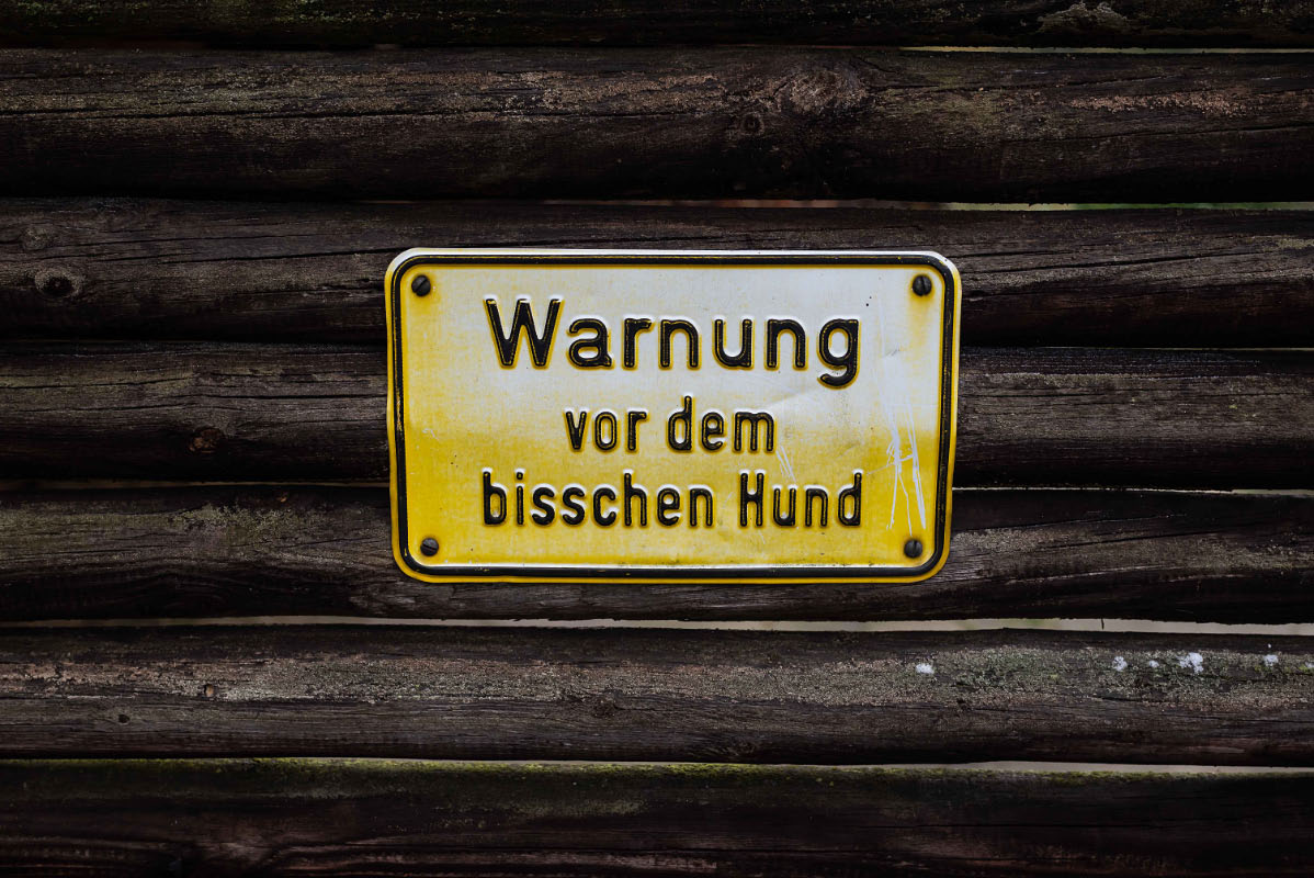 Ein bisschen Hund.jpg