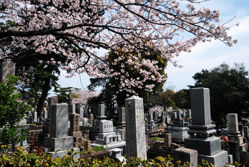 Ein buddhistischer Friedhof in Beppu
