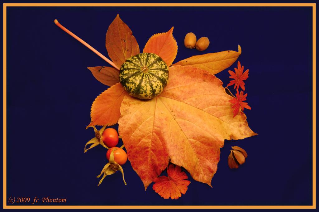Ein Herbstmenü auf Weinlaub