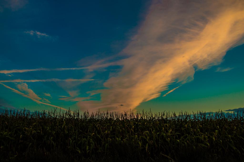 Ein Sommerabend