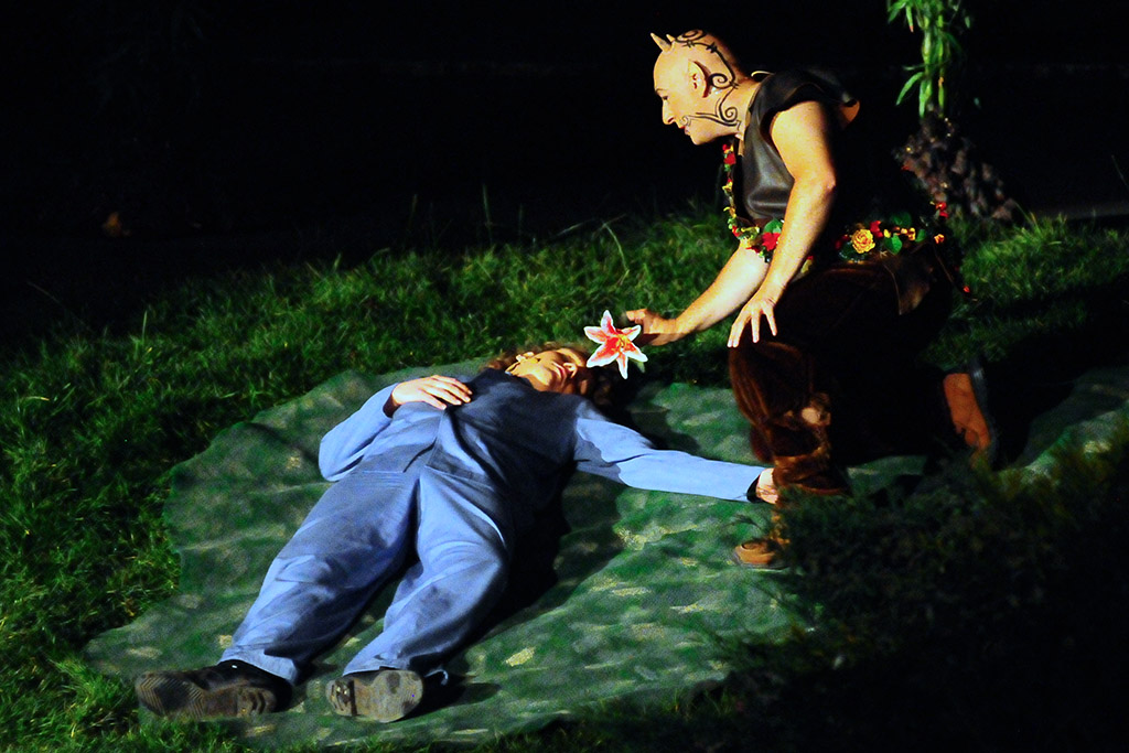 Ein Sommernachtstraum (Waldbühne Heessen, MHX0154pseX)