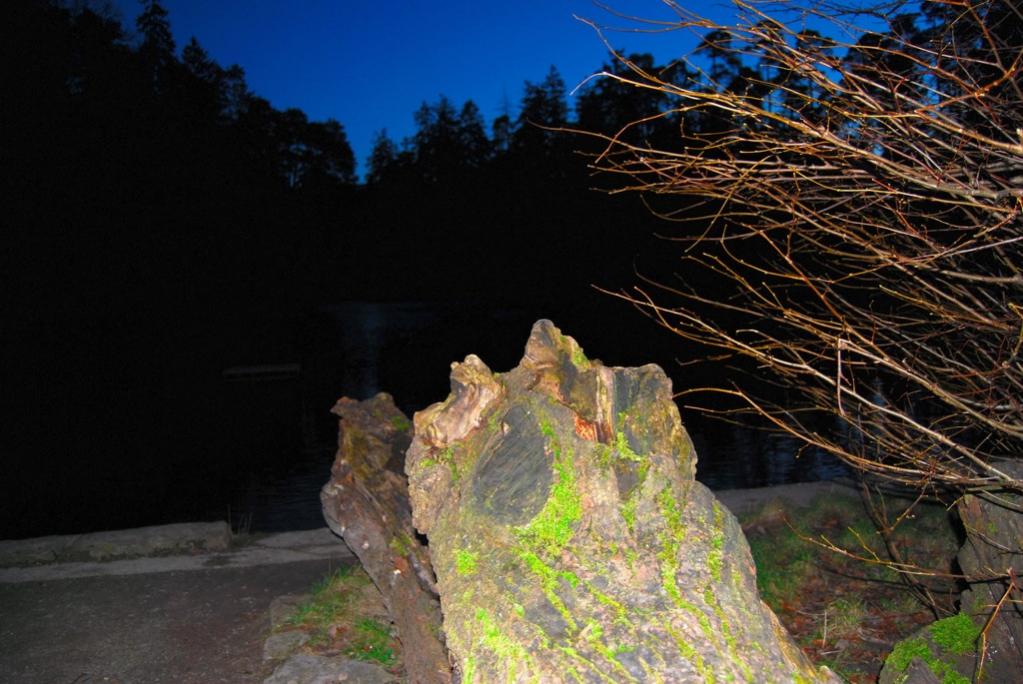 Ein Stein am See, 2009