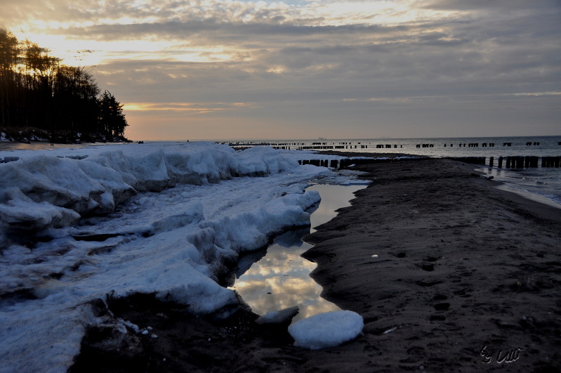 Ein Winterbild im Januar