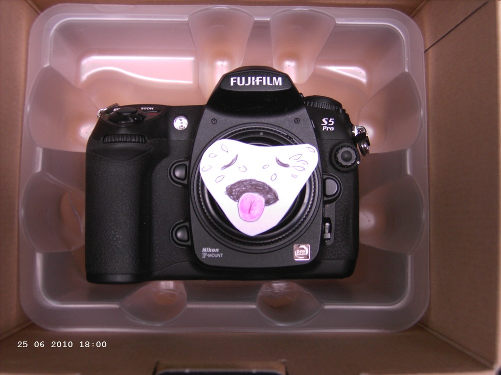 Eine arme verstoßene kleine S5Pro, wahrscheinlich verstoßen von ihrem Rudel, weil neuere, vermeintlich schönere Kameras im Fotodschungel auftauchten u