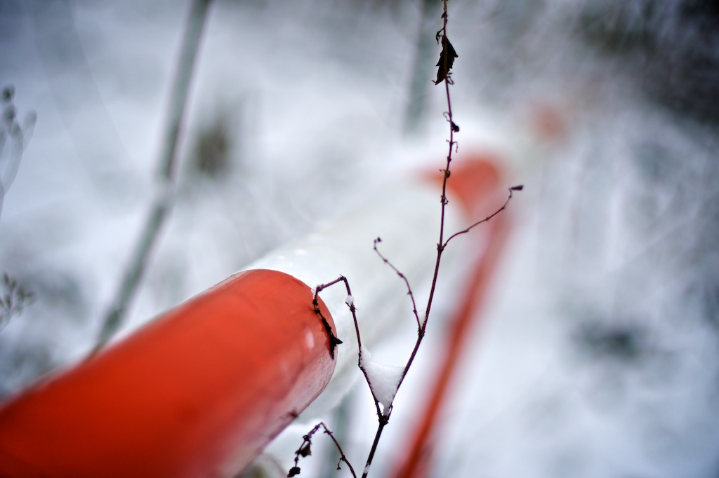 Eine Schranke als Kontrast zum grauen Winterwald