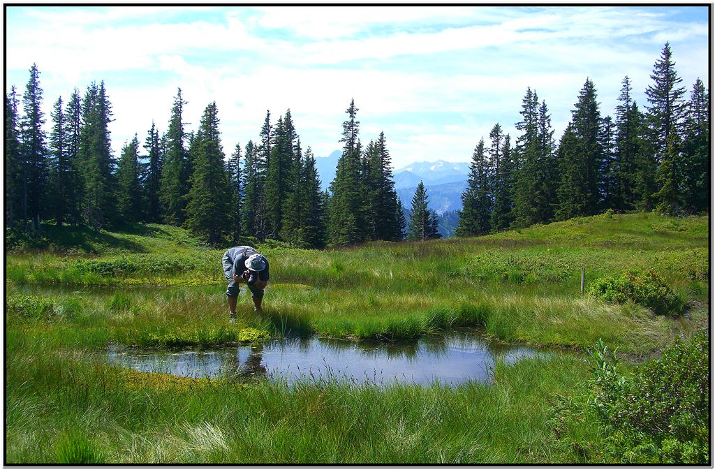 Eine wunderschöne Moorlandschaft in 1800m Höhe, welches ein wahres Insekten- und Krötenparadies war. Unvergleichbar!