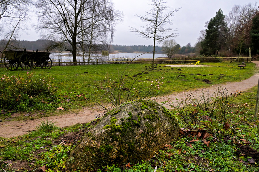 Einmal um den See.jpg
