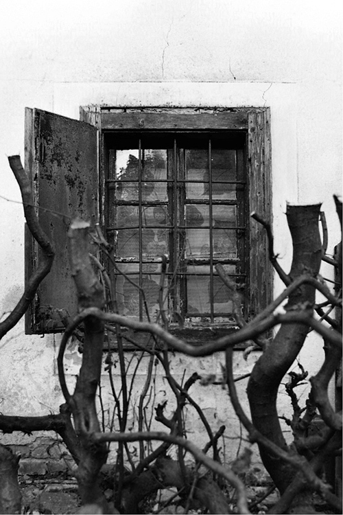 Einzelfenster 09