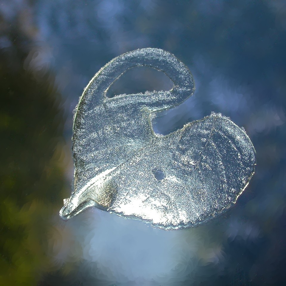 Eisblatt