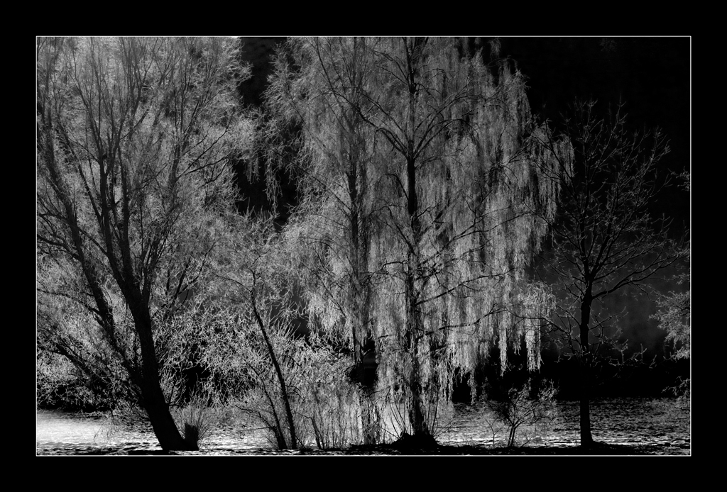 EisDSC 0140