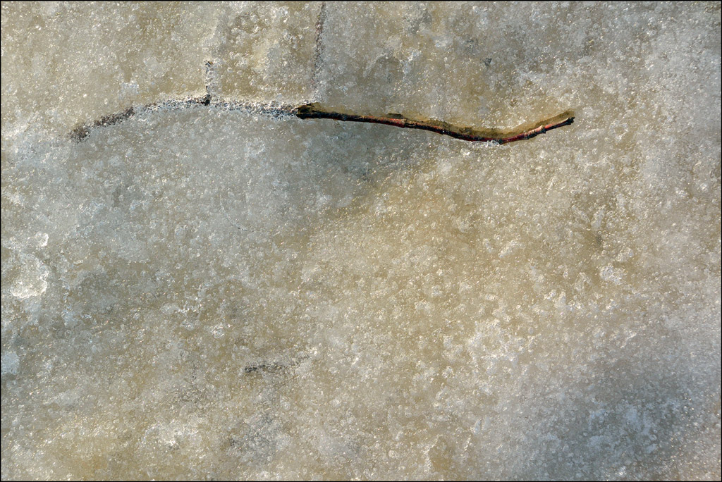 EisDSC 0525