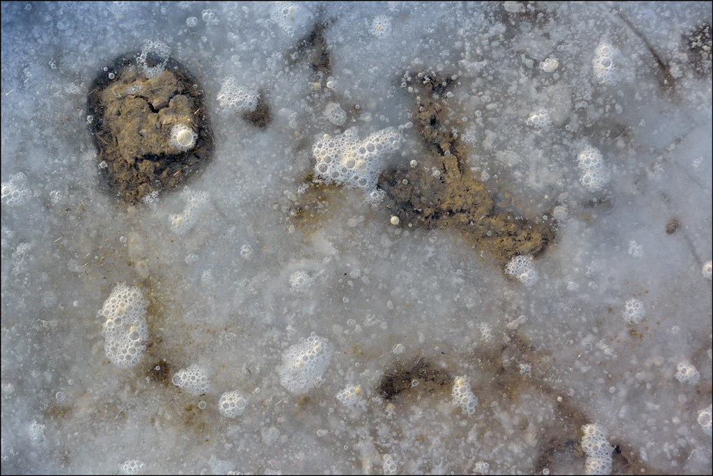 EisDSC 0528