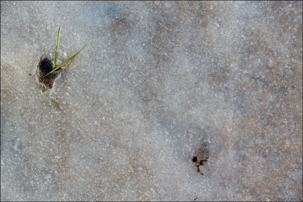 EisDSC 0531
