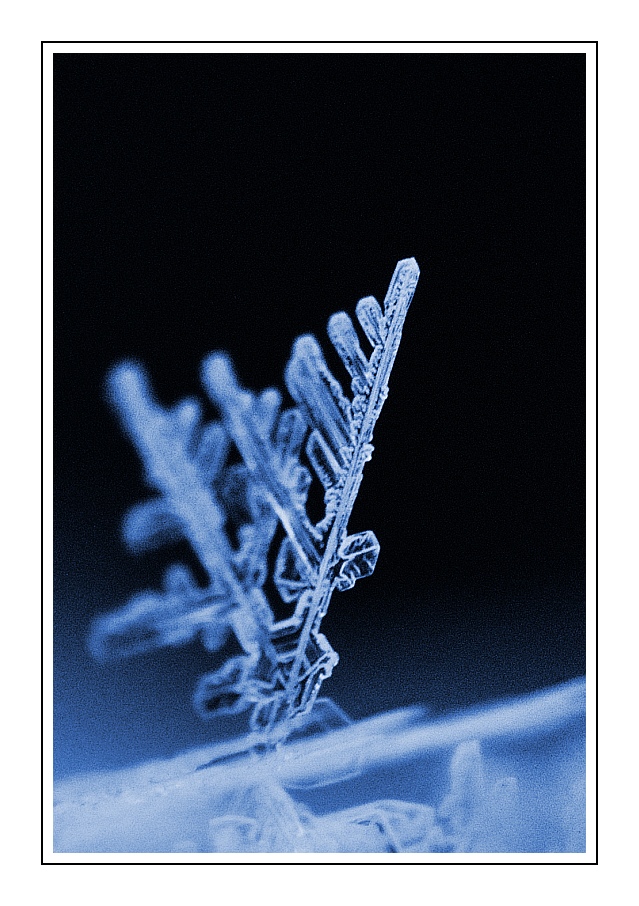 Eisig 3