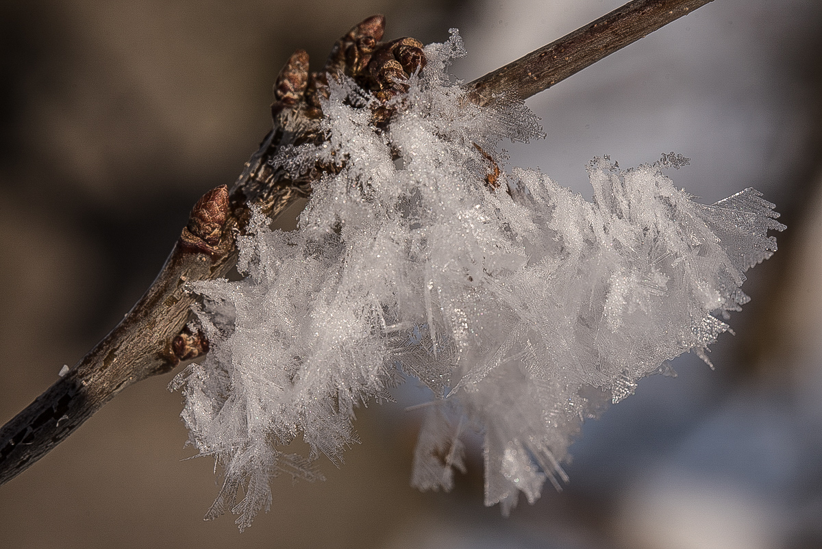 Eiskristalle Farbe 2 (1 von 1).JPG