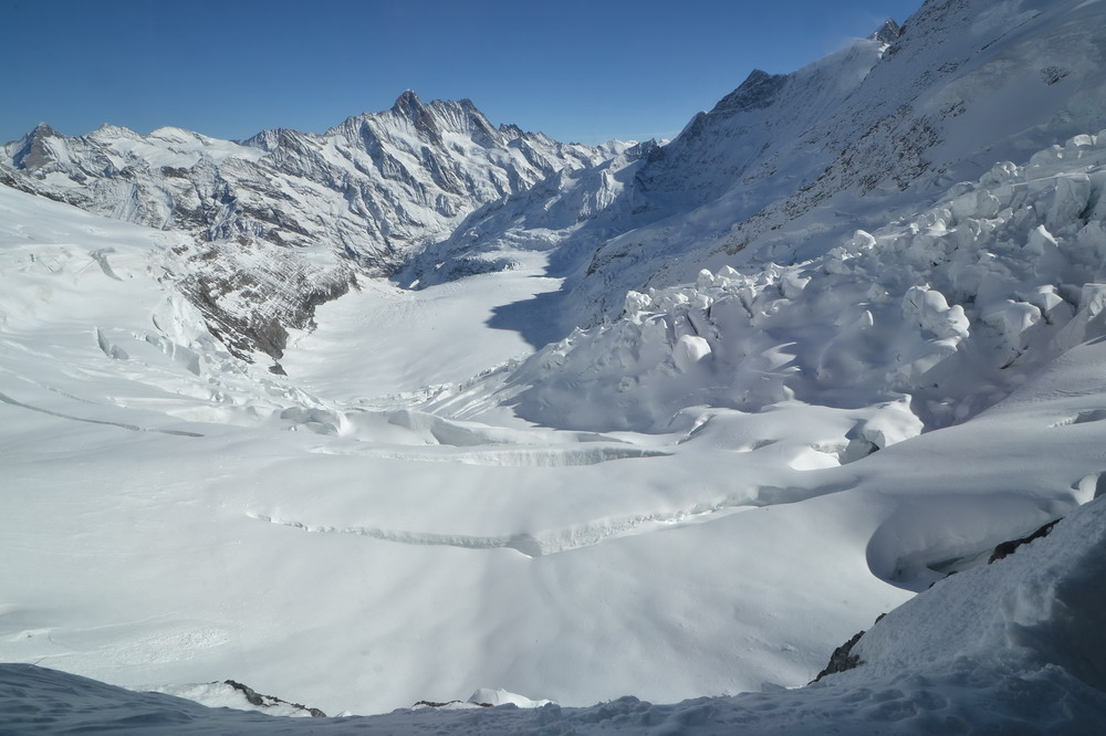 Eismeer mit Schreckhorn (4078m) und Lauteraarhorn (4042m)