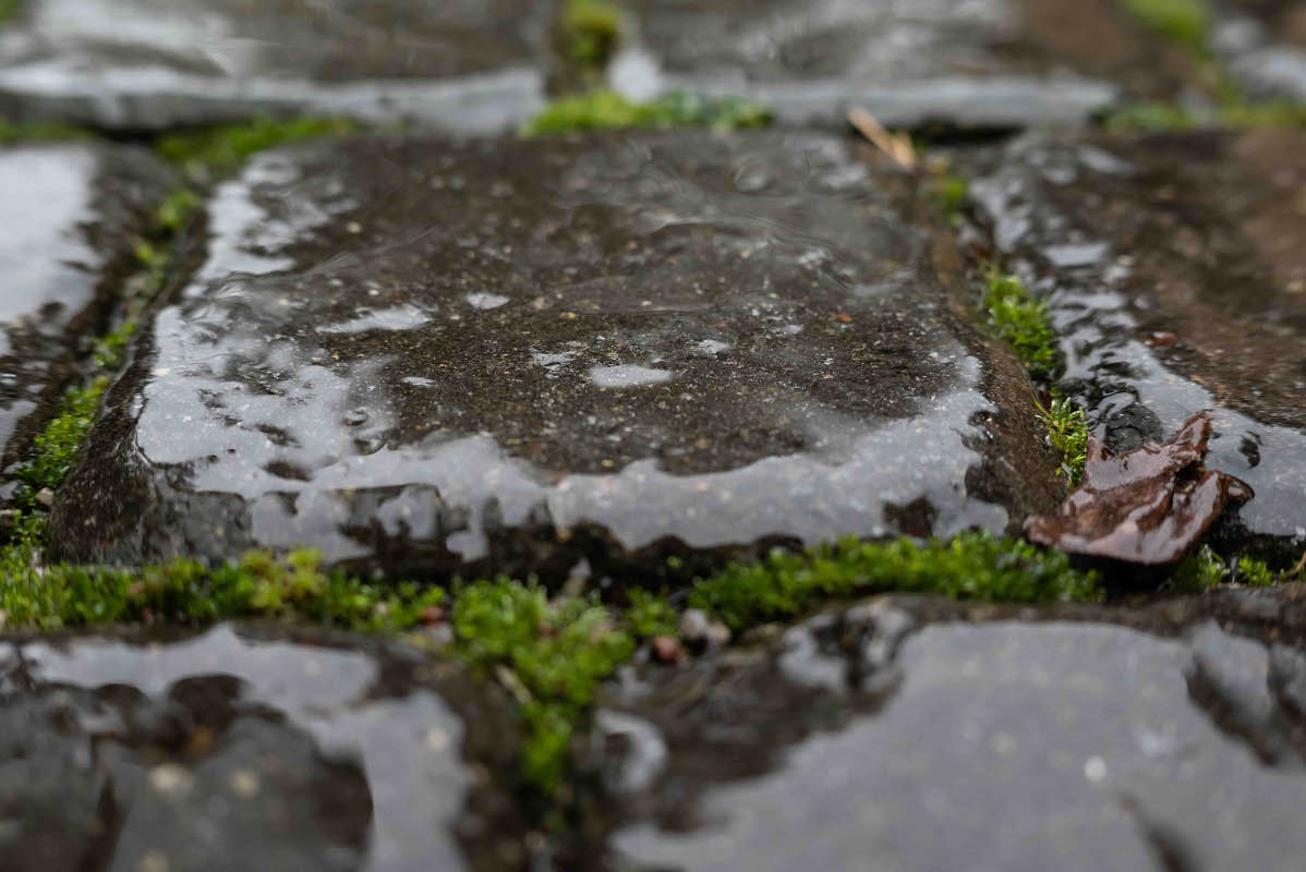 Eisregen 2.jpg