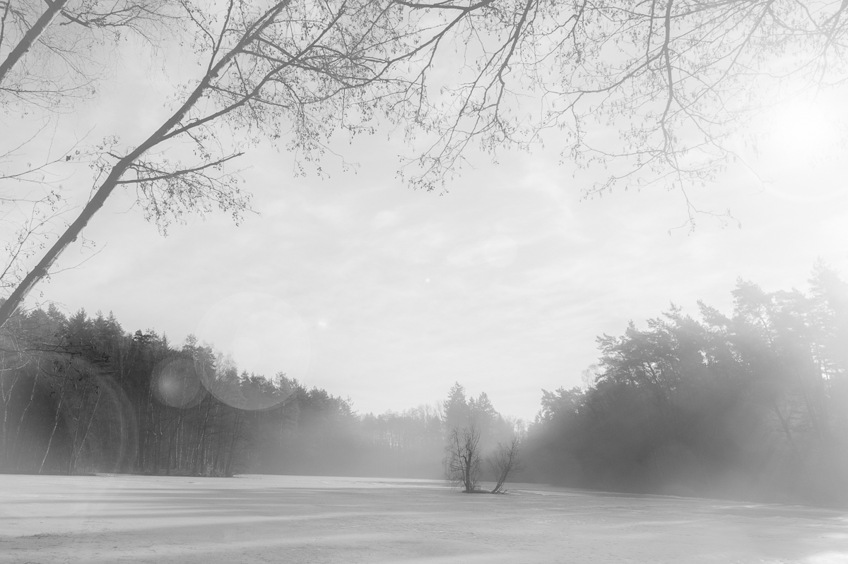 Eisweiher Nürnberg Fischbach 2