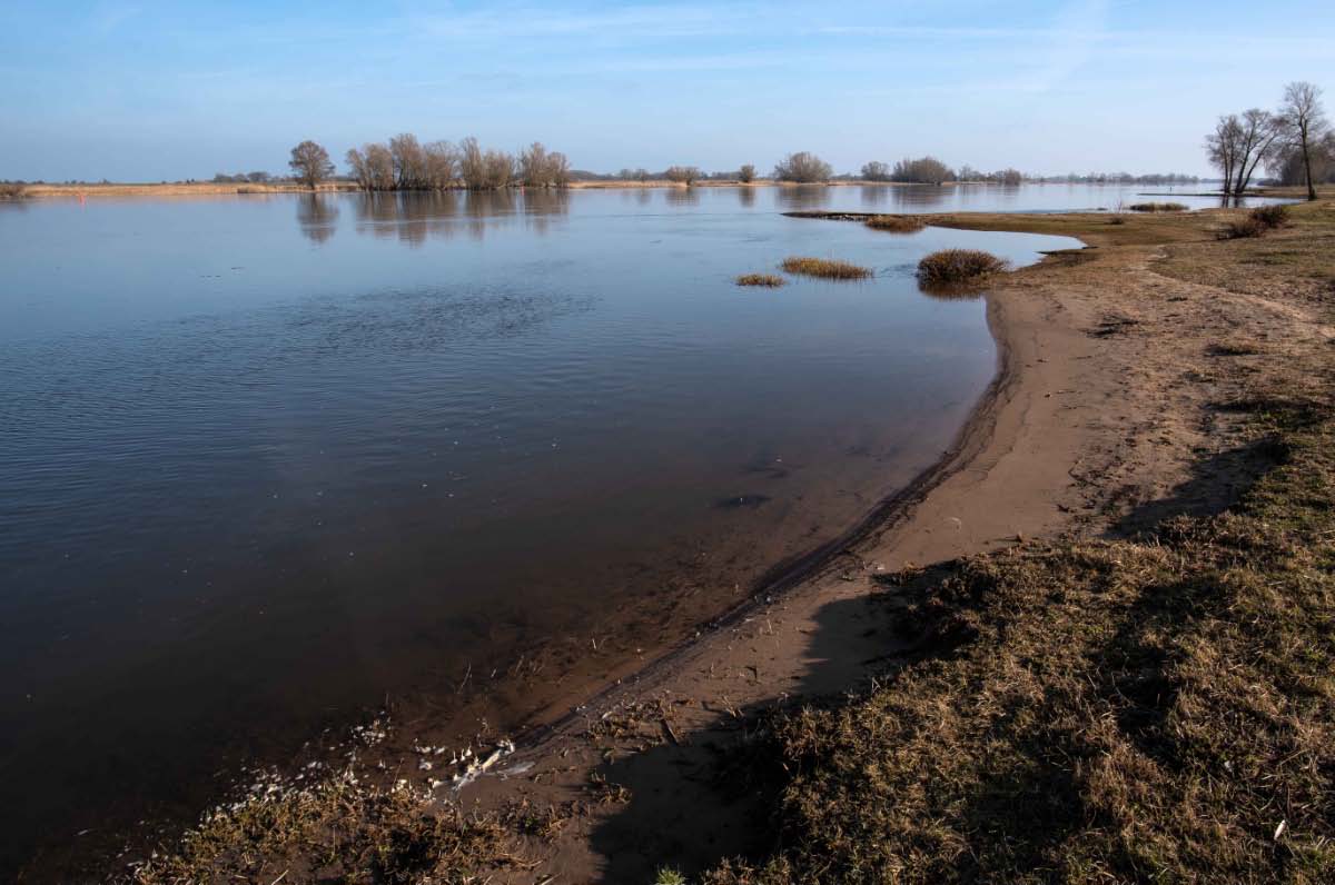 Elbe 4.jpg