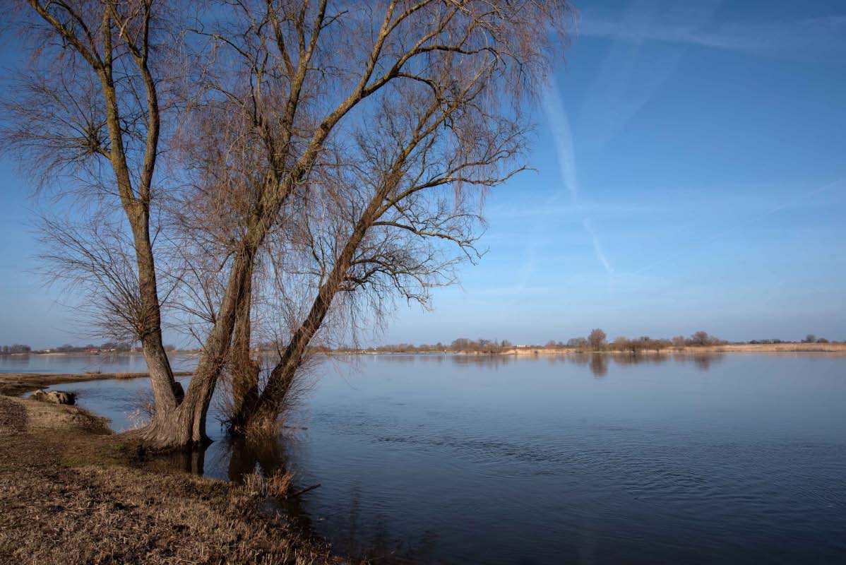Elbe 5.jpg