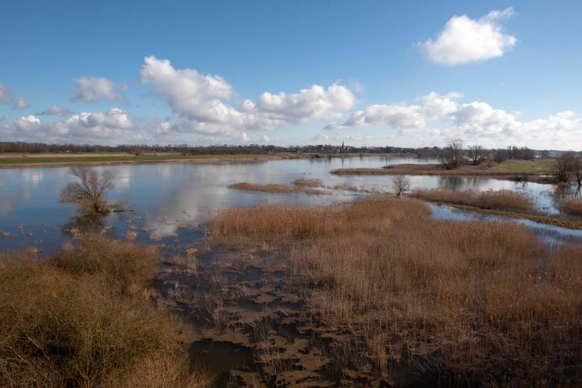 Elbe Dömitz 3.jpg